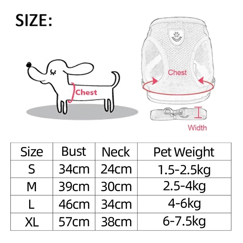 Adjustable Small Dog & Cat Harness Set