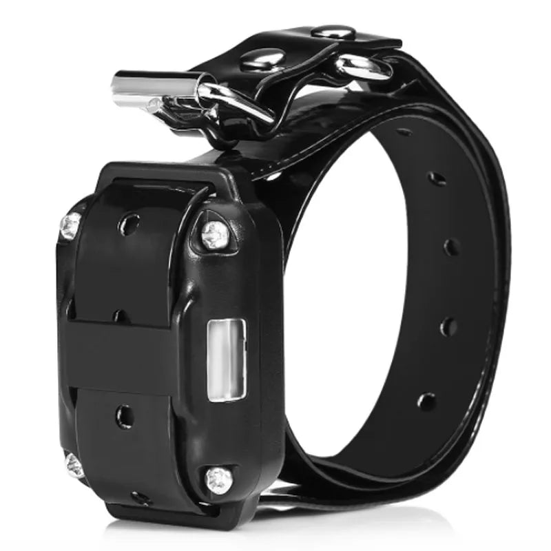 Electric Dog Training Shock Collar