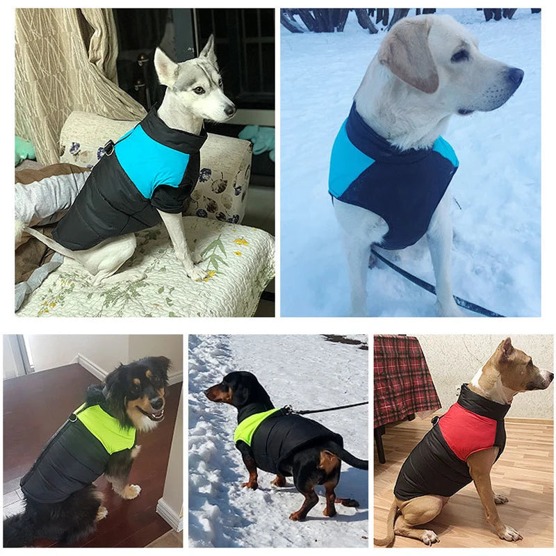 Waterproof Winter Dog Coat Big and Small Dog Vest