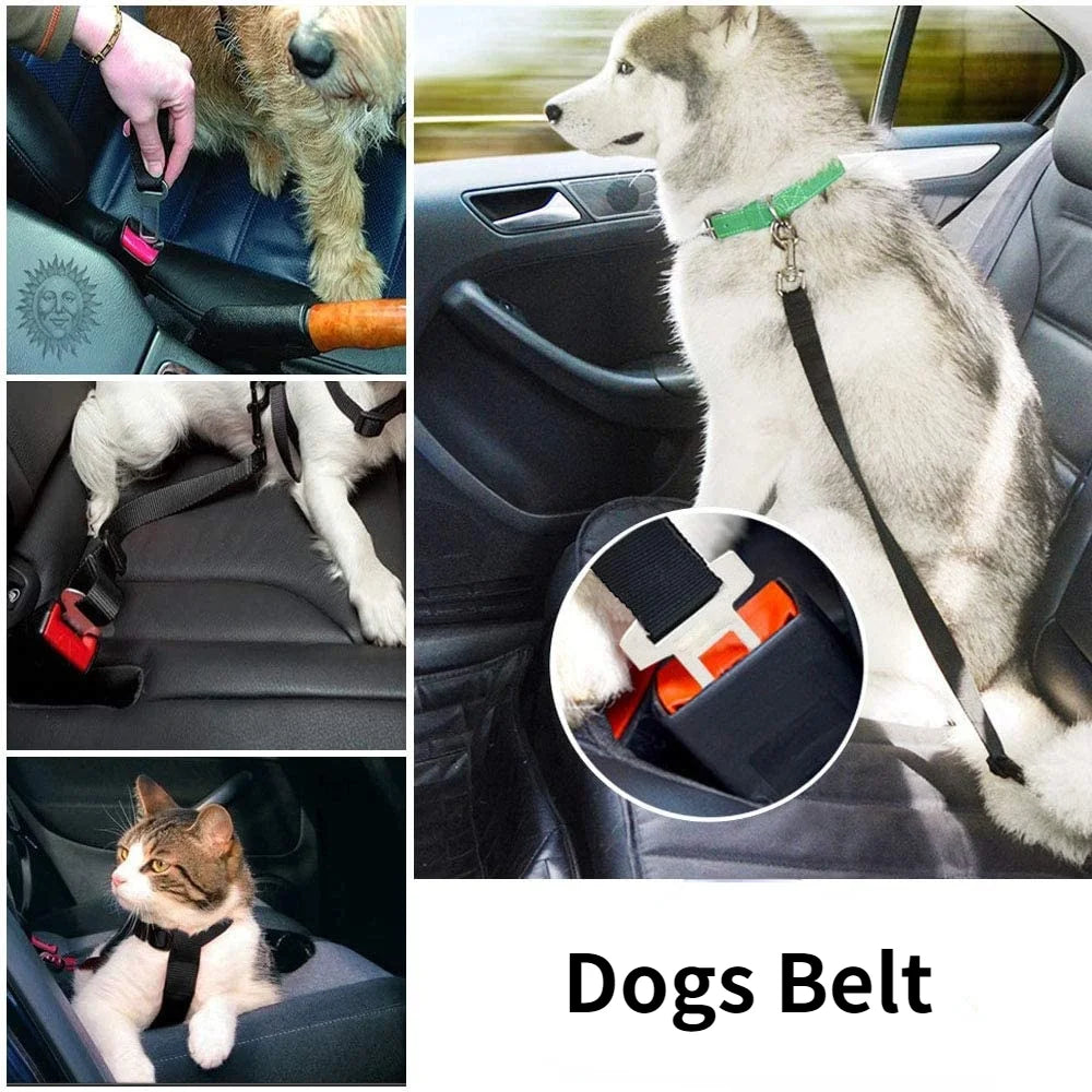 Adjustable Pet Car Seat Belt & Harness