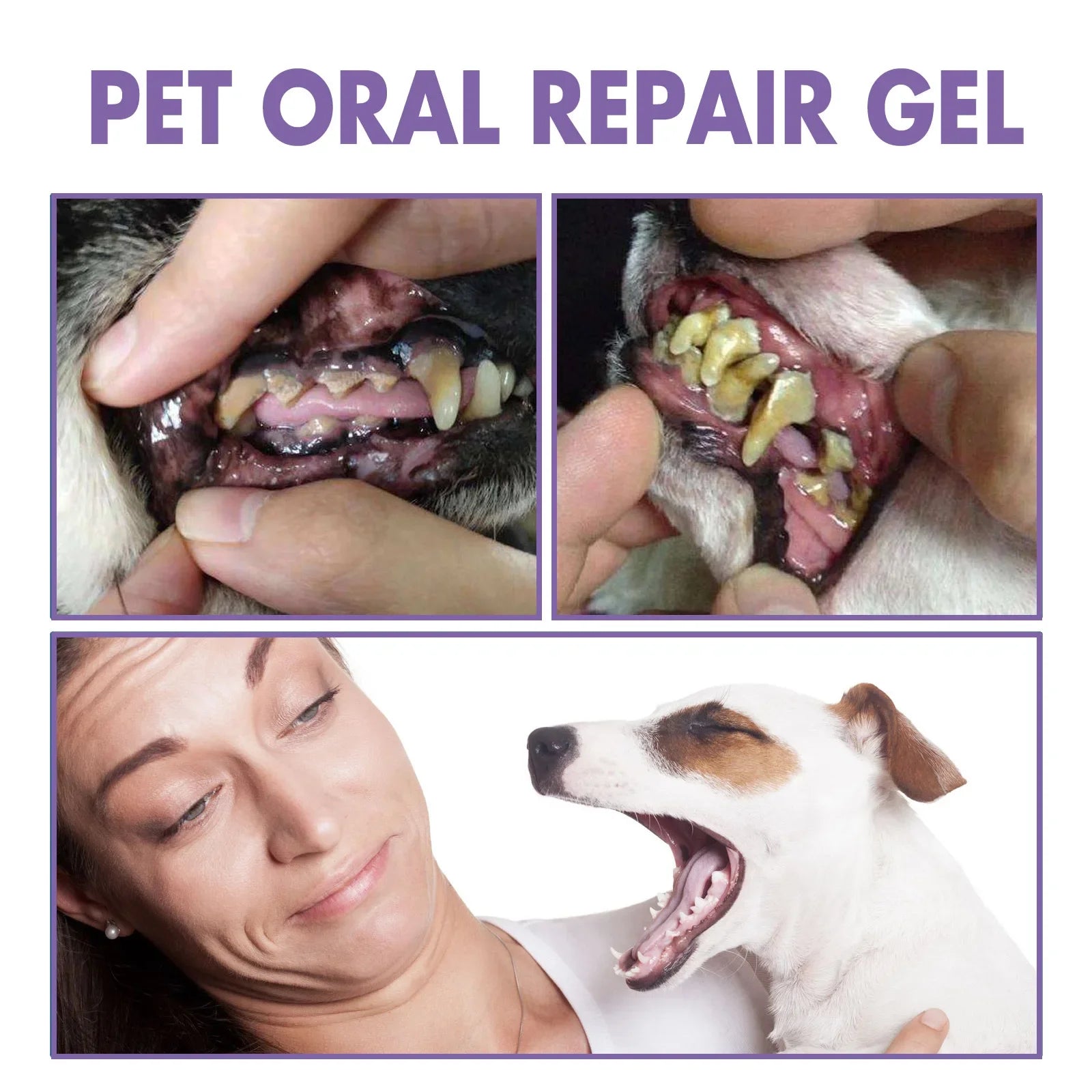 Pet Teeth Cleaning Pen & Oral Gel
