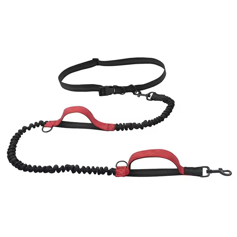 Dual-Handle Reflective Elastic Dog Leash