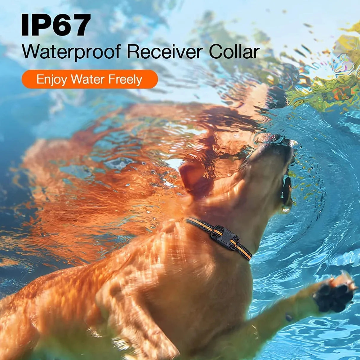 3300ft Dog Training Collar with Remote