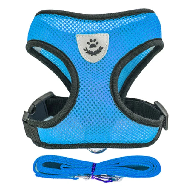 Adjustable Small Dog & Cat Harness Set