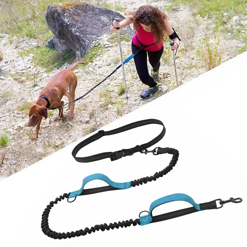 Dual-Handle Reflective Elastic Dog Leash