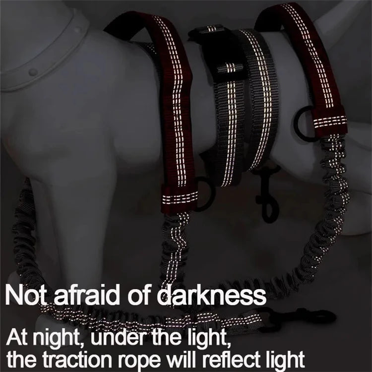 Dual-Handle Reflective Elastic Dog Leash
