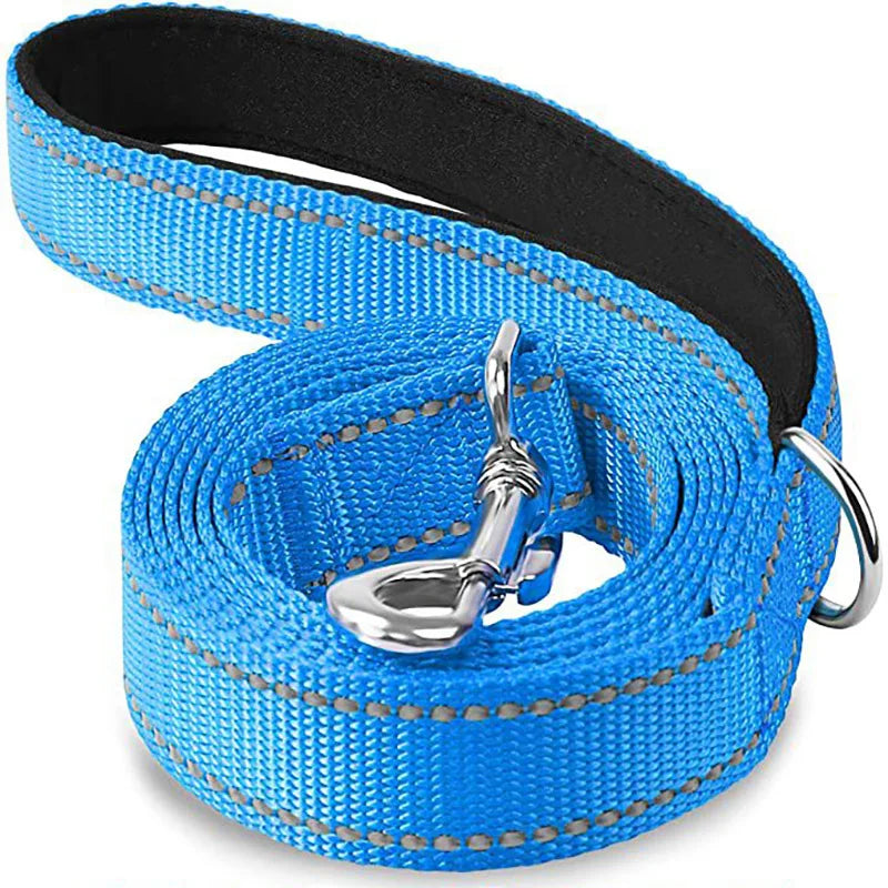 Reflective Pet Harness & Leash Set