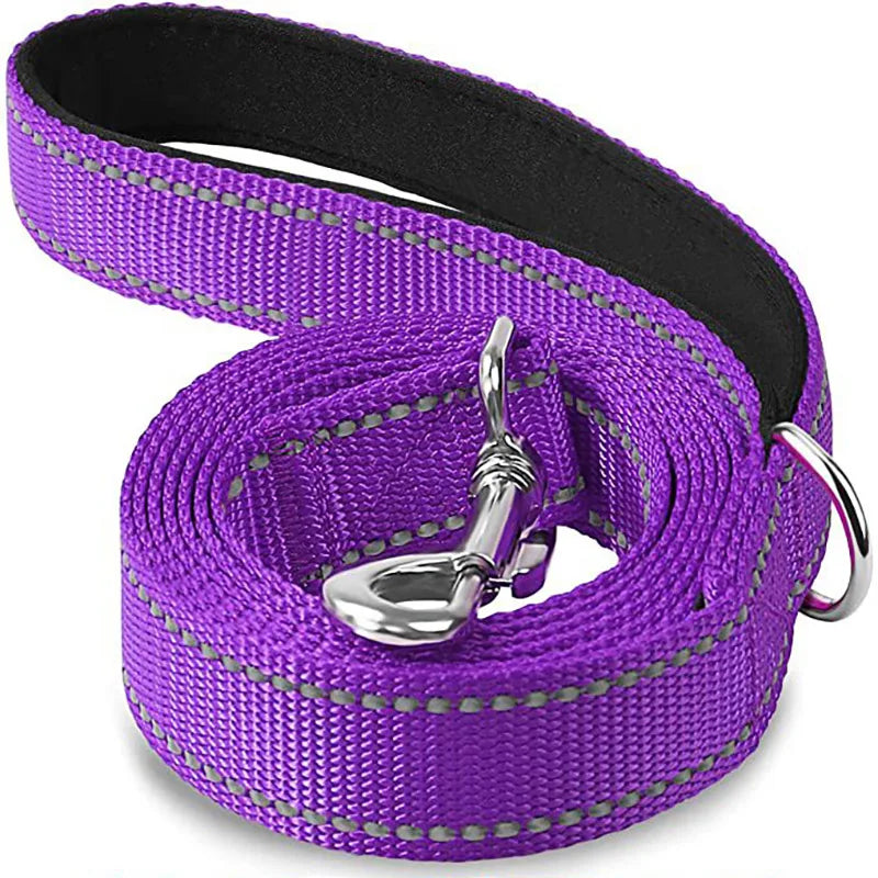 Reflective Pet Harness & Leash Set