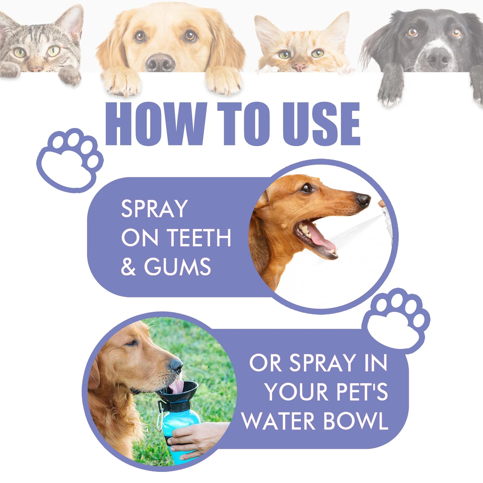 Pet Dental Spray for Dogs & Cats