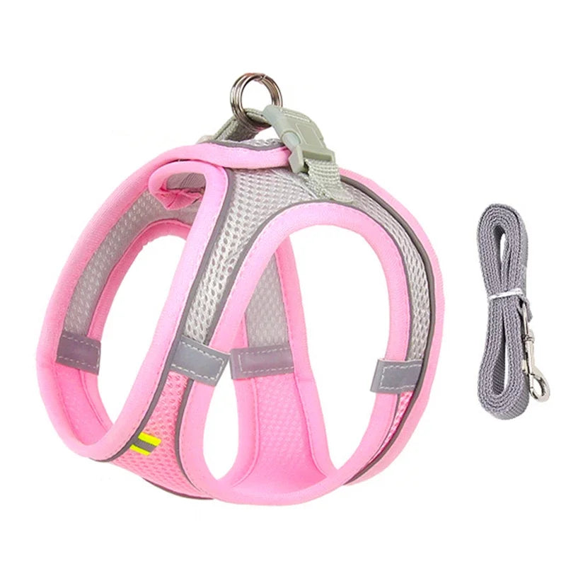 Adjustable Puppy & Cat Harness Set