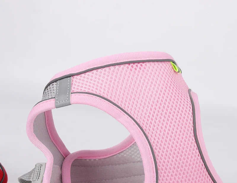 Adjustable Puppy & Cat Harness Set