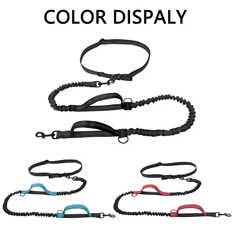 Dual-Handle Reflective Elastic Dog Leash
