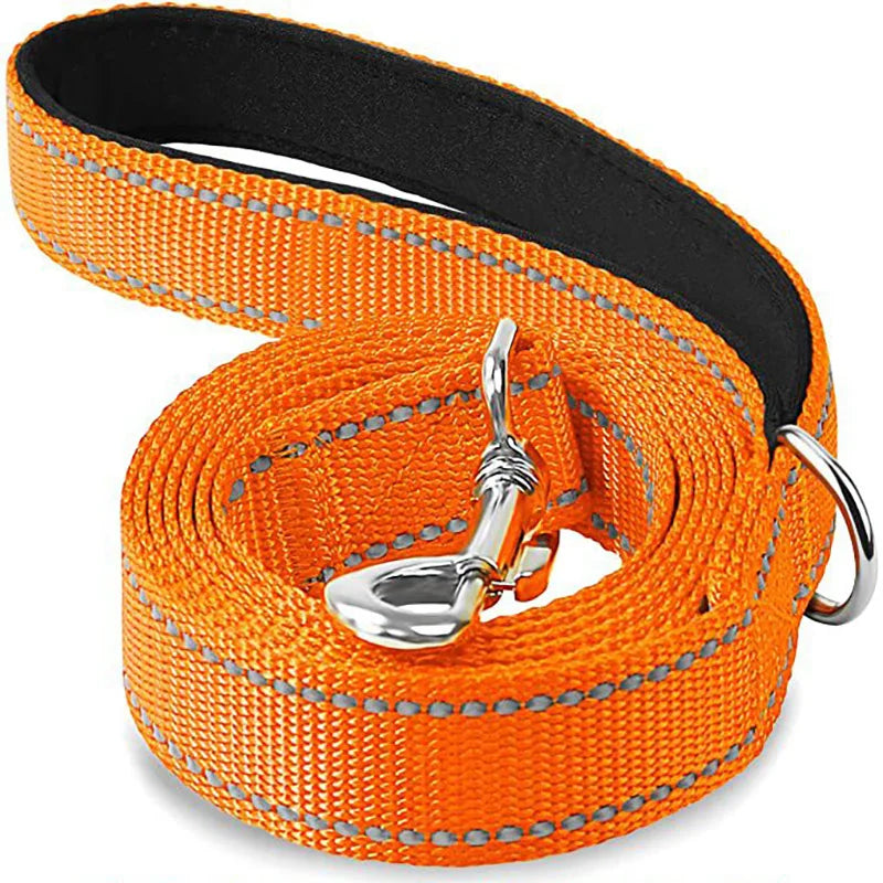 Reflective Pet Harness & Leash Set