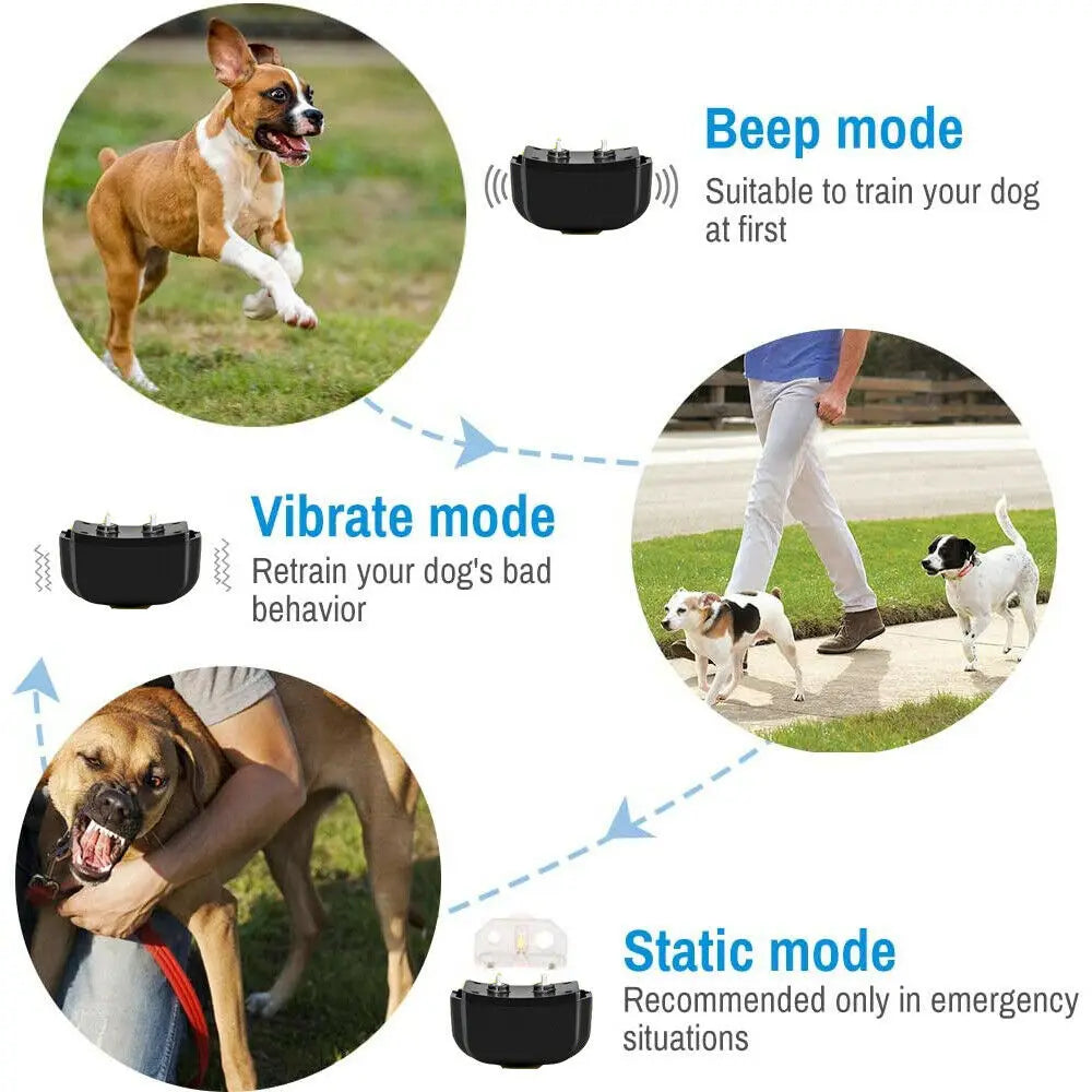 2024 Dog Training Shock Collar with Remote