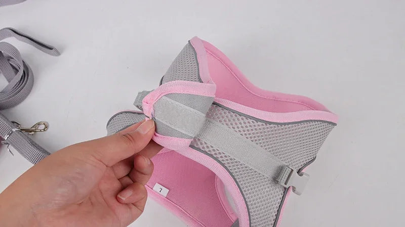 Adjustable Puppy & Cat Harness Set