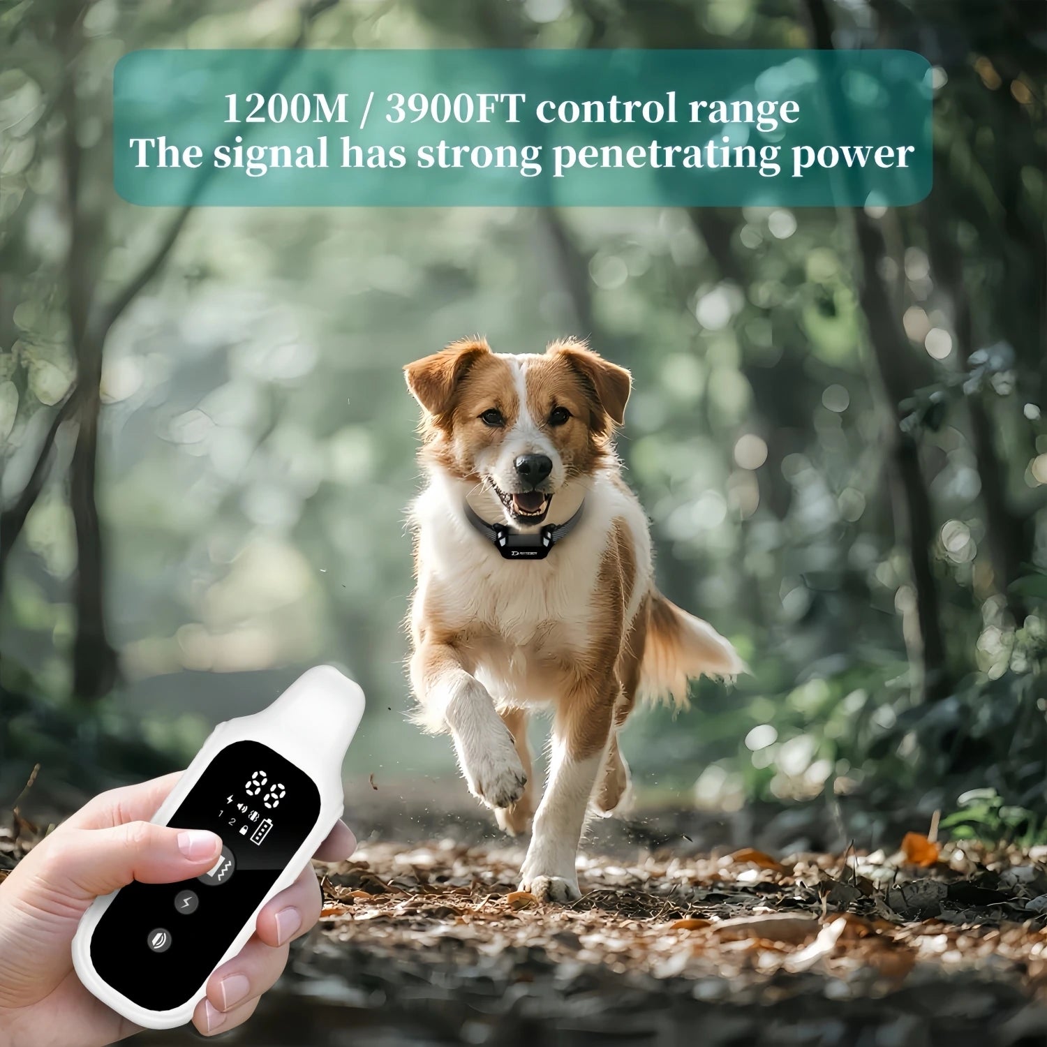 800m Digital Dog Training Collar