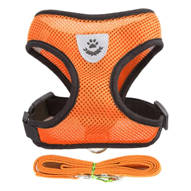 Adjustable Small Dog & Cat Harness Set
