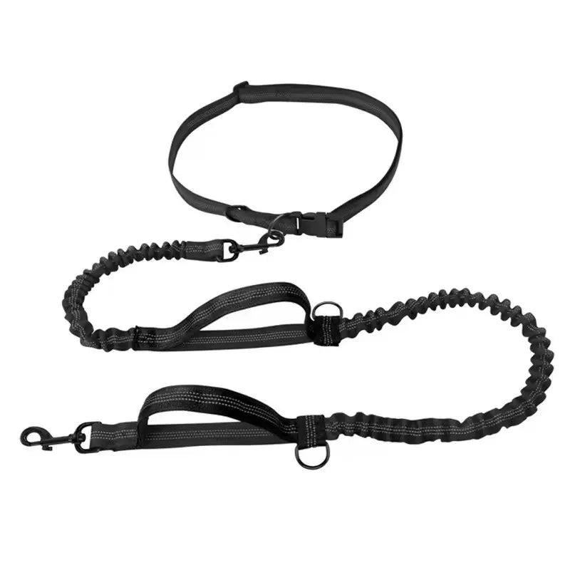 Dual-Handle Reflective Elastic Dog Leash