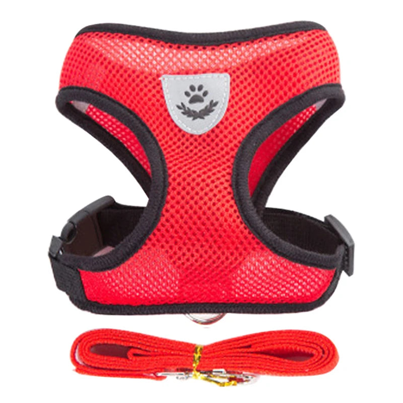 Adjustable Small Dog & Cat Harness Set