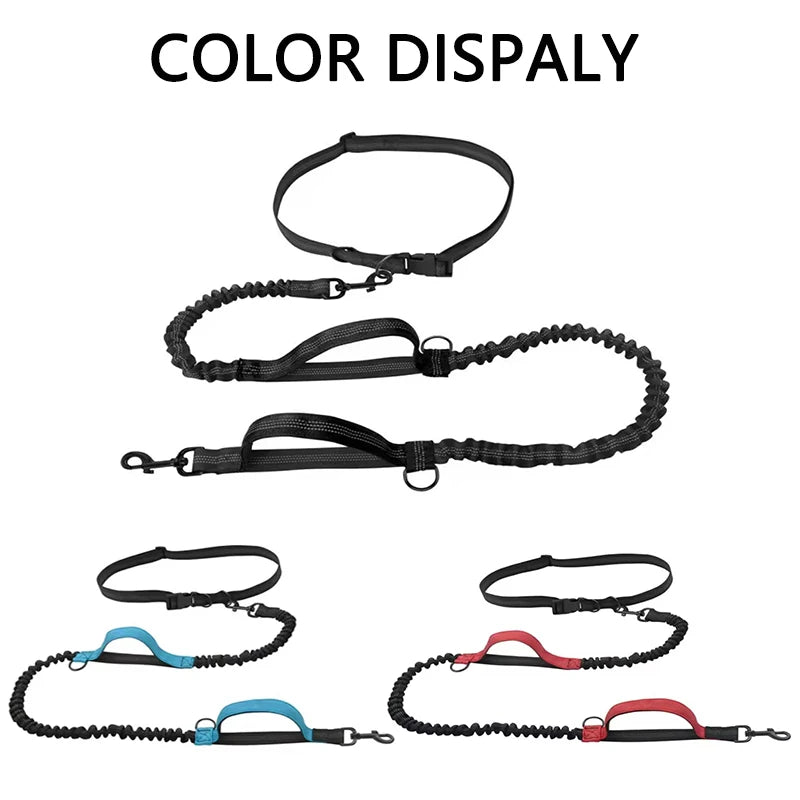 Dual-Handle Reflective Elastic Dog Leash