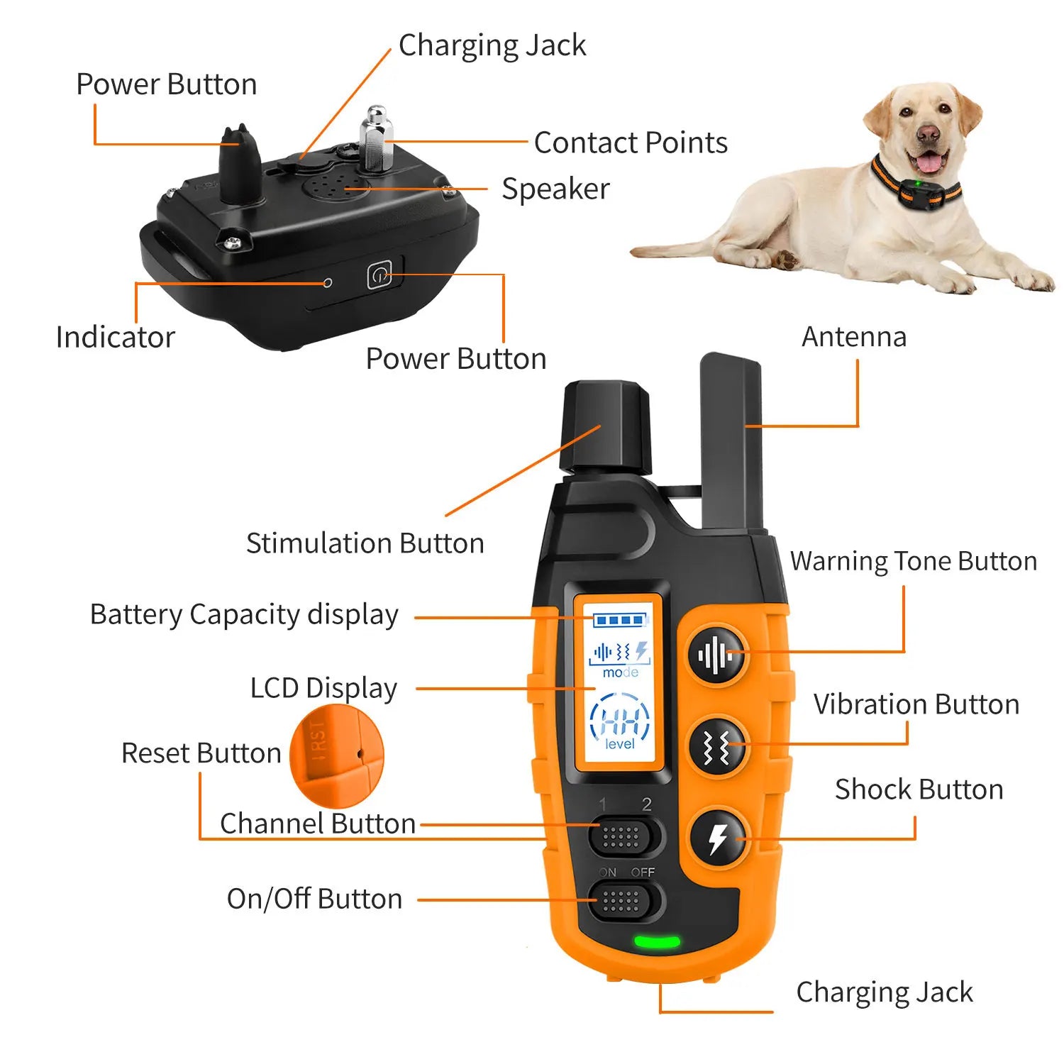 3300ft Dog Training Collar with Remote