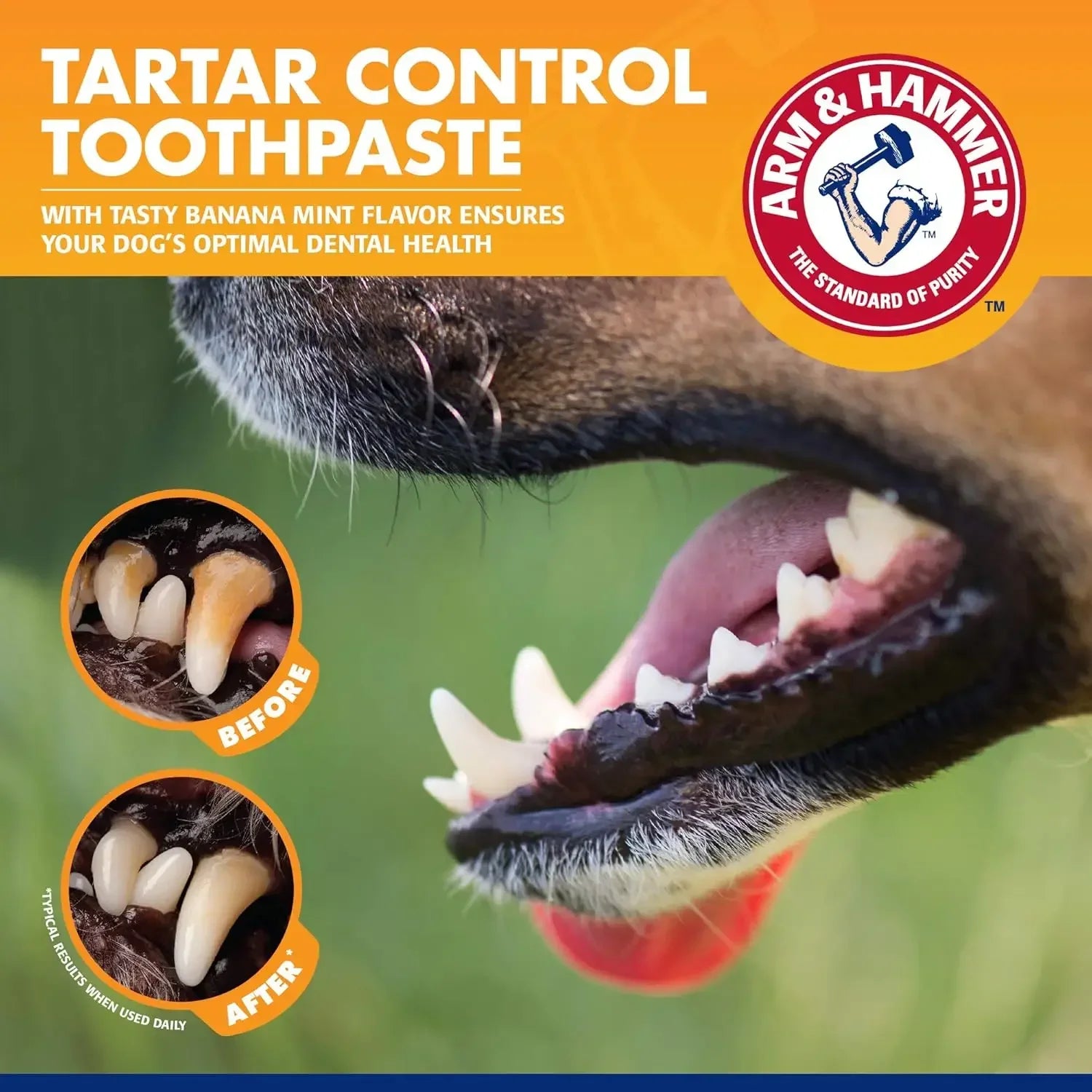 Pet Dental Care Kit for Dogs & Cats