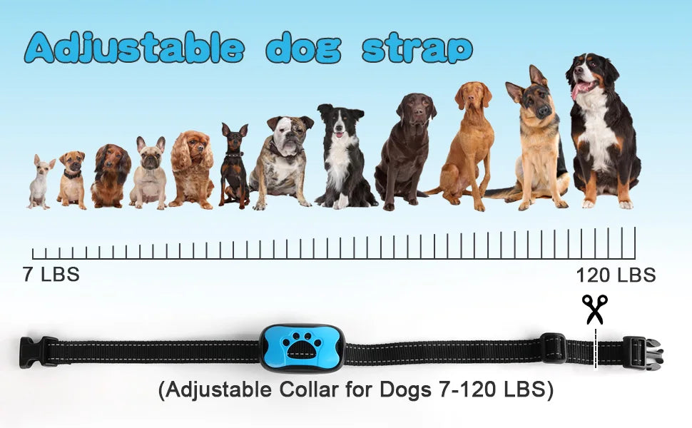 USB Rechargeable Anti-Bark Dog Collar