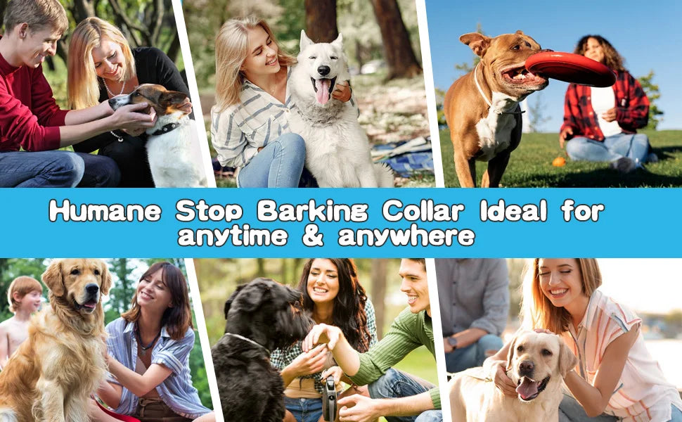 USB Rechargeable Anti-Bark Dog Collar