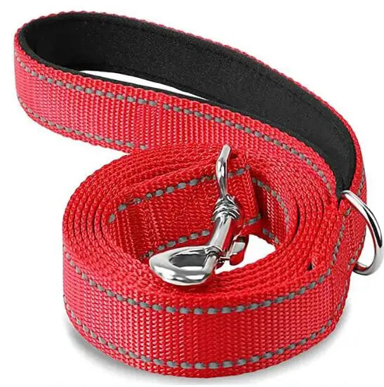Reflective Pet Harness & Leash Set