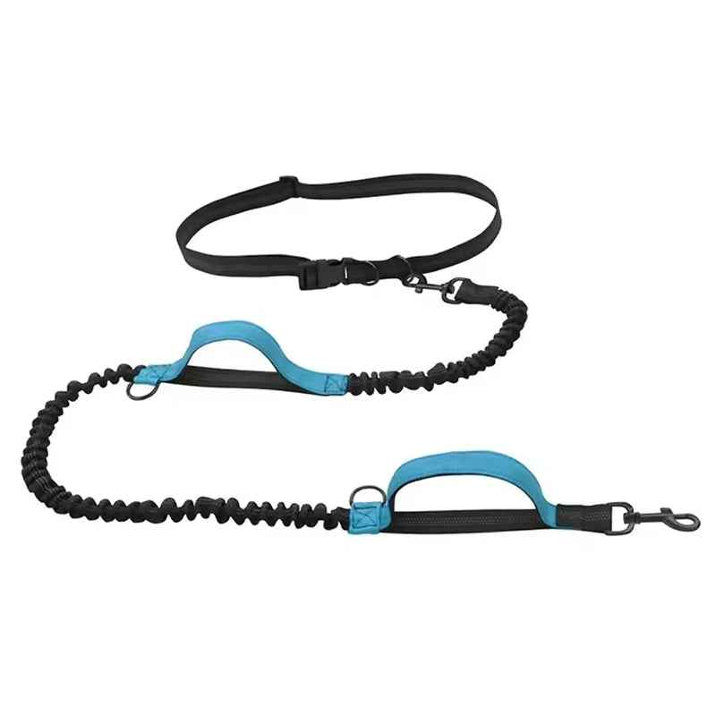 Dual-Handle Reflective Elastic Dog Leash