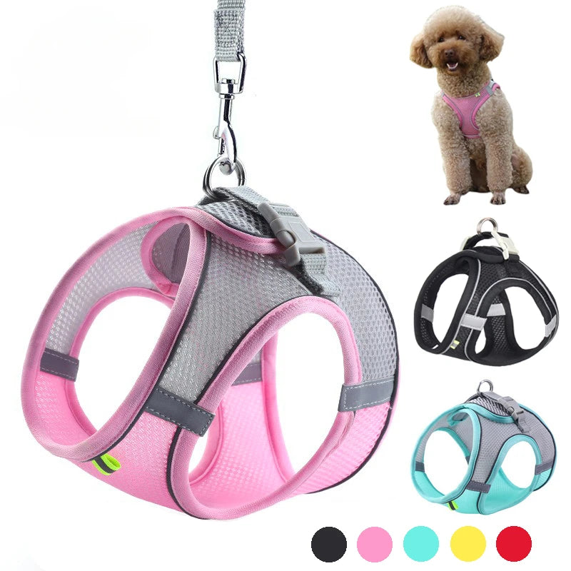 Adjustable Puppy & Cat Harness Set