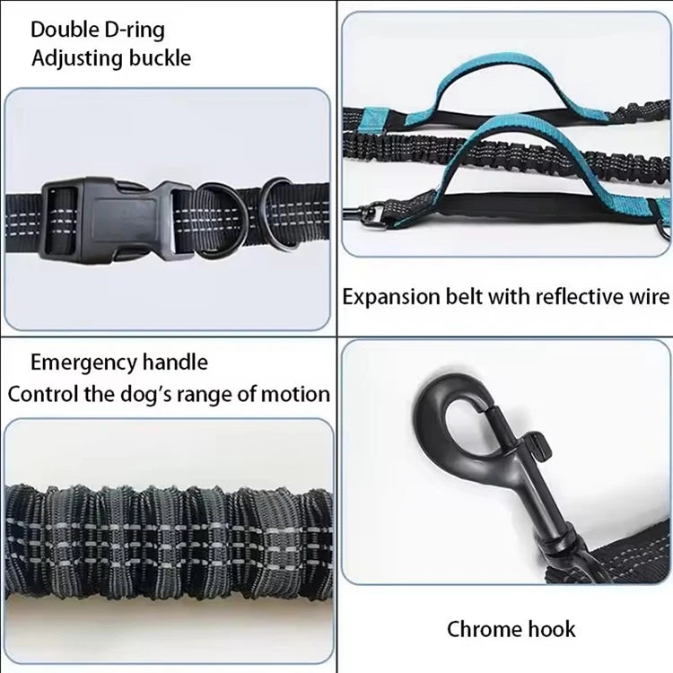Dual-Handle Reflective Elastic Dog Leash