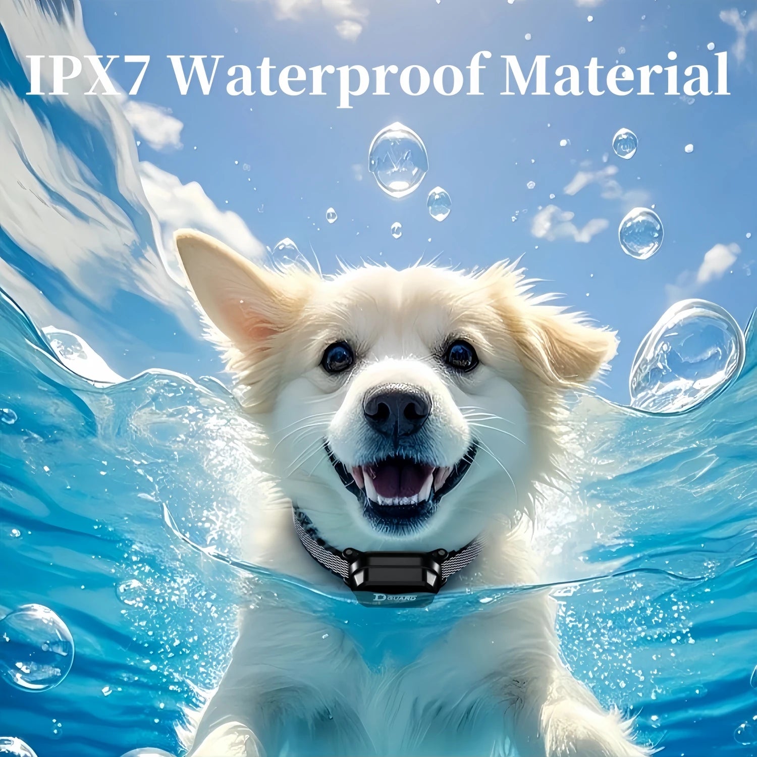 800m Digital Dog Training Collar