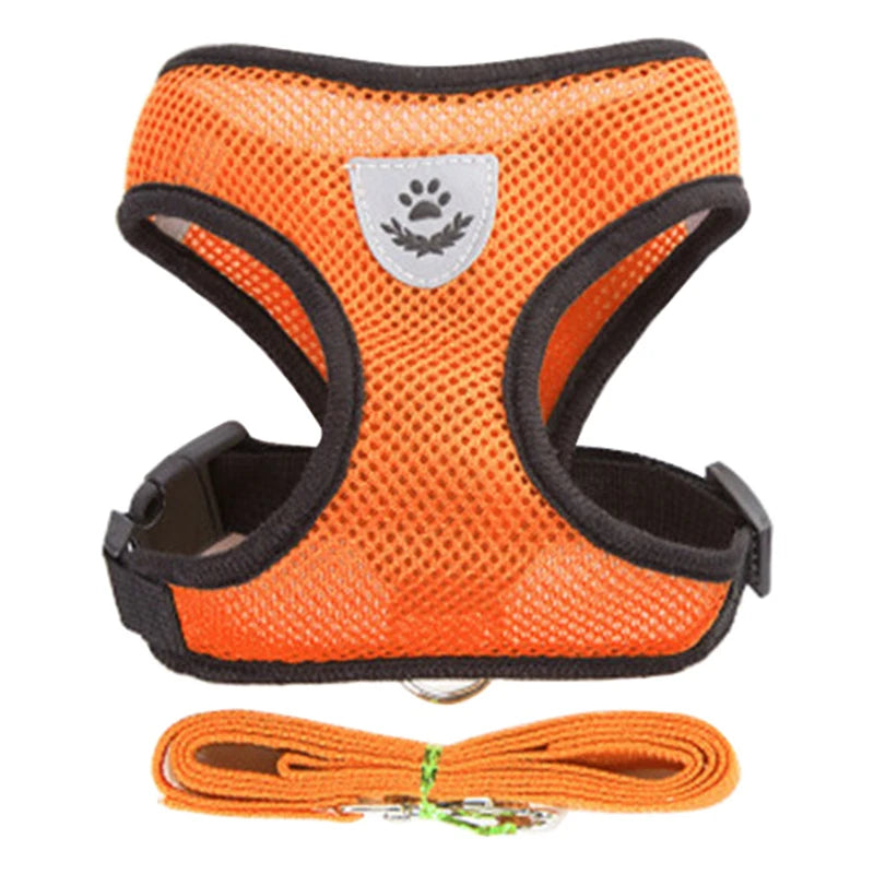 Adjustable Small Dog & Cat Harness Set