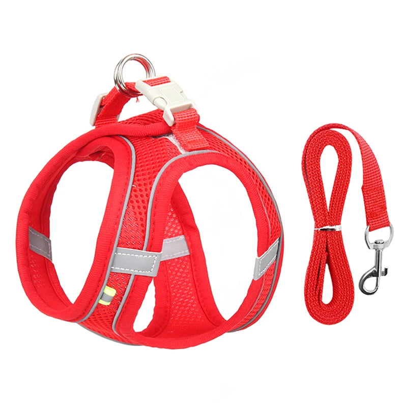 Adjustable Small Dog & Cat Harness Set