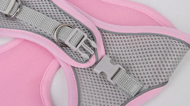 Adjustable Puppy & Cat Harness Set