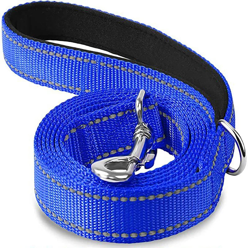 Reflective Pet Harness & Leash Set