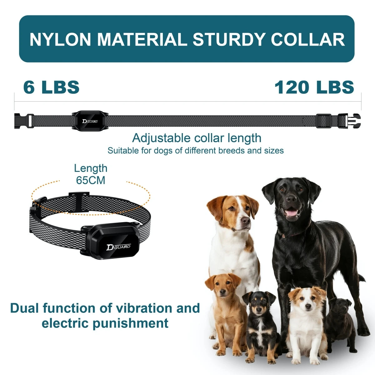 800m Digital Dog Training Collar