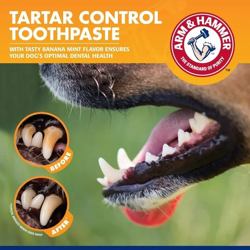 Pet Dental Care Kit for Dogs & Cats