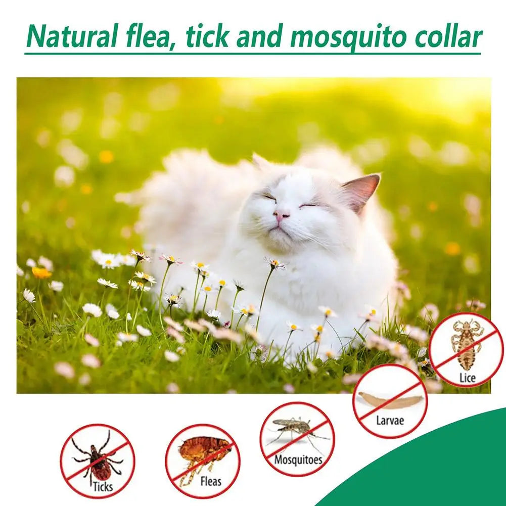 High-End Flea & Tick Drops for Pets 60ml