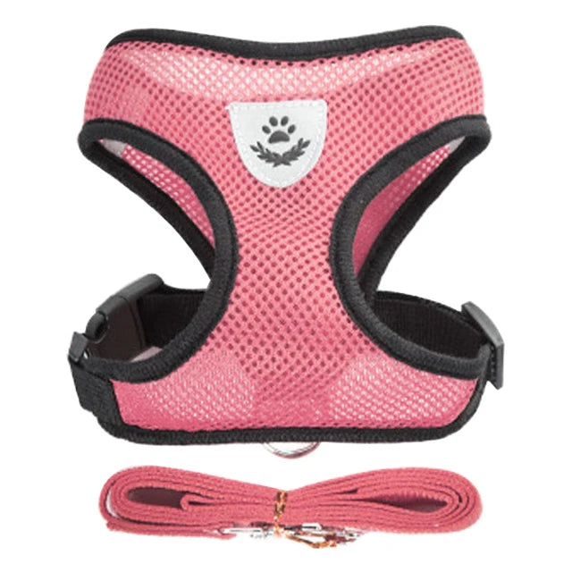 Adjustable Small Dog & Cat Harness Set