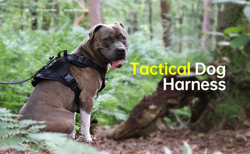 Tactical Dog Harness & Leash Set