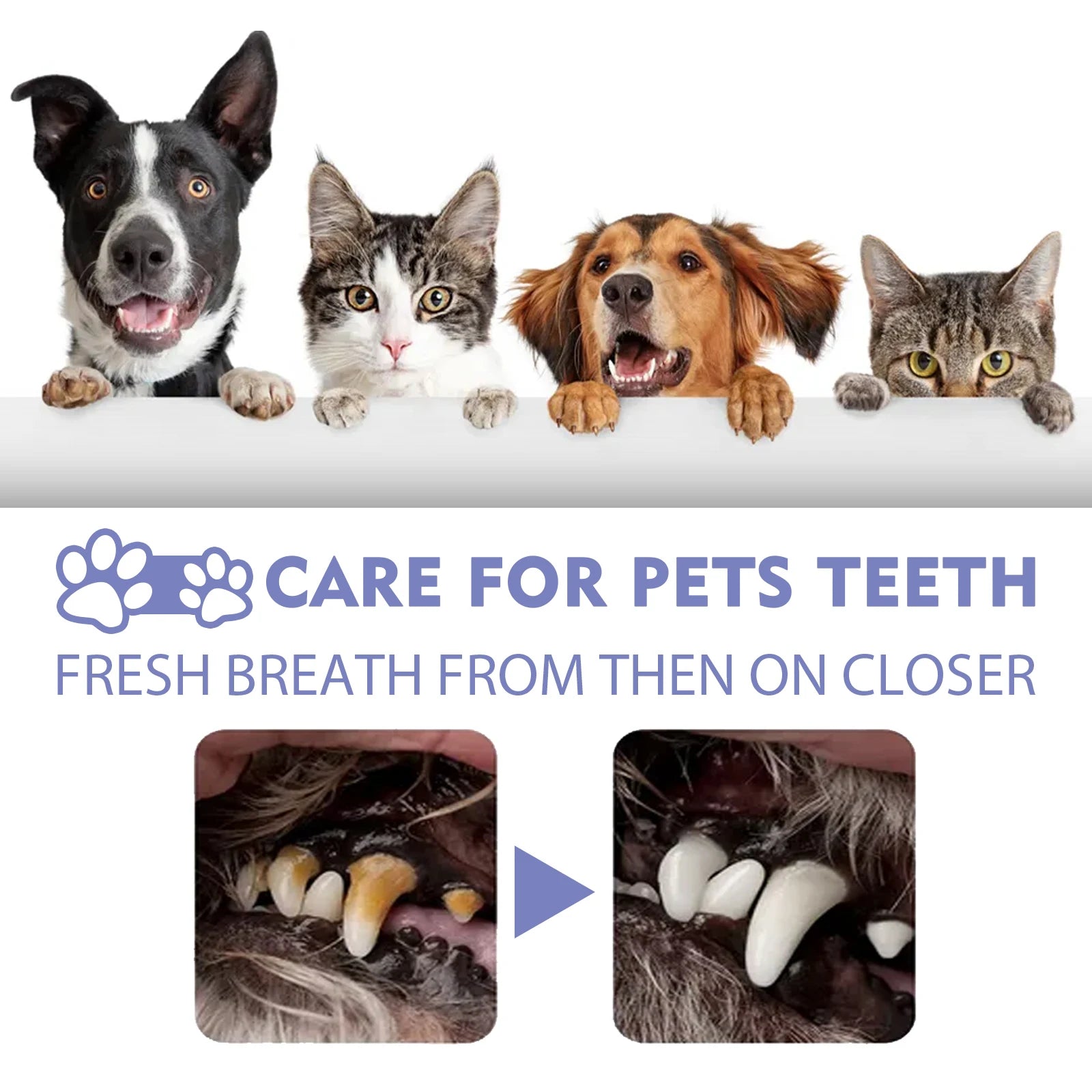 Pet Dental Spray for Dogs & Cats
