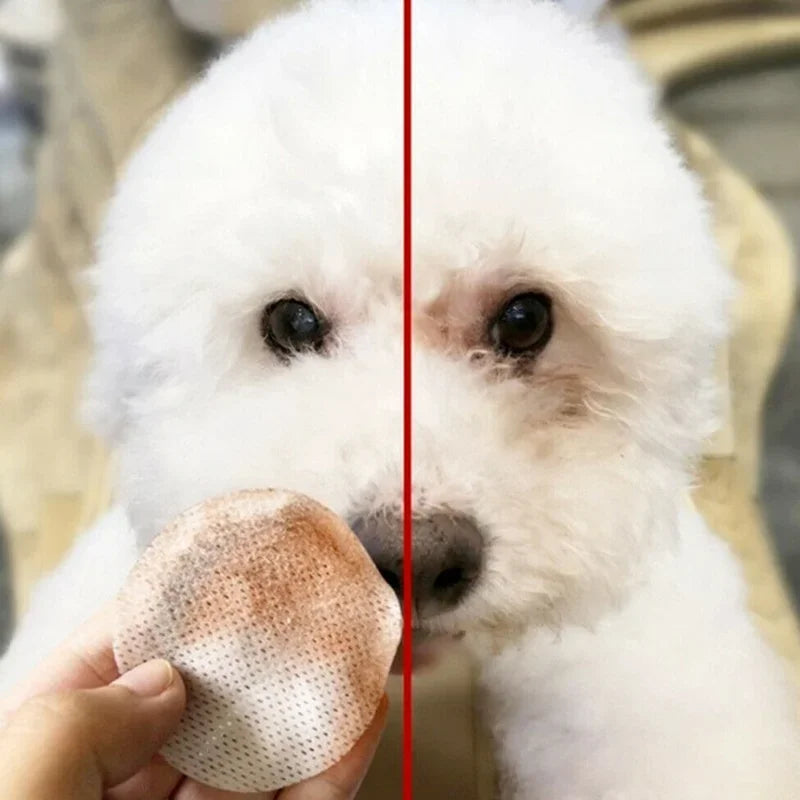 130pcs Pet Eye & Grooming Wipes