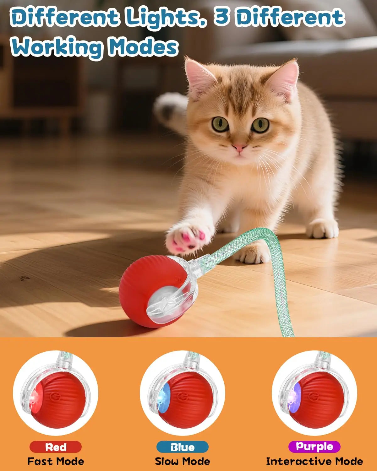 Interactive Rolling Ball Toy for Cats