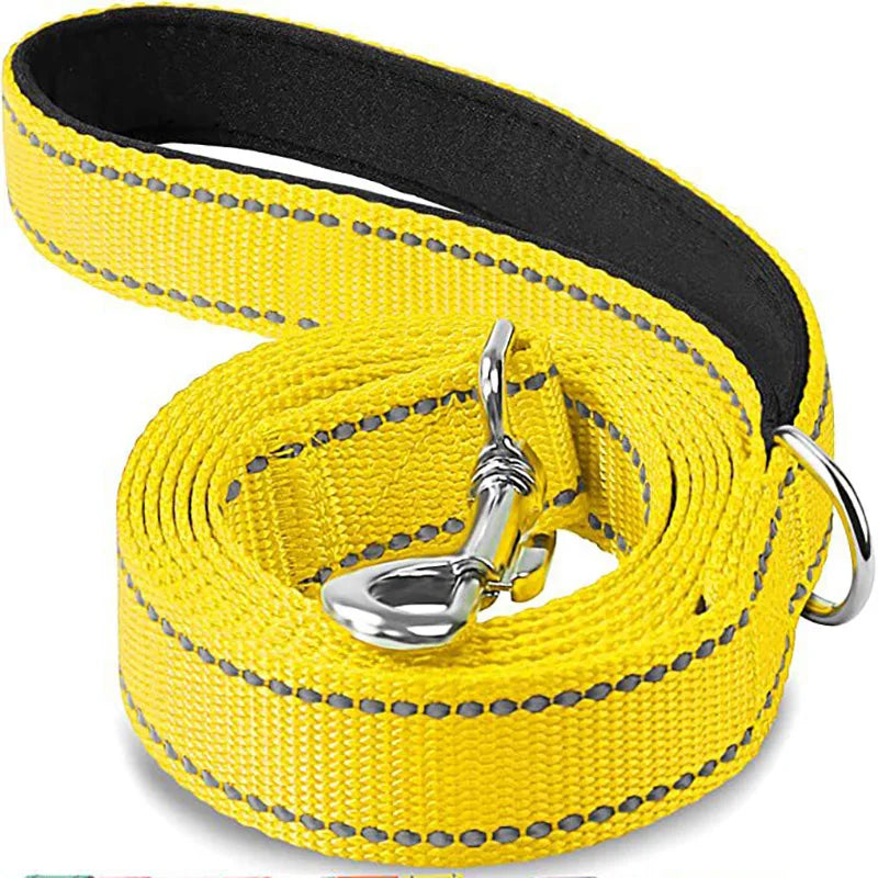 Reflective Pet Harness & Leash Set