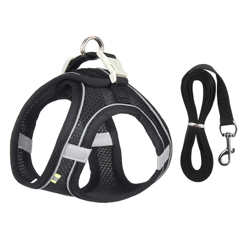 Adjustable Small Dog & Cat Harness Set
