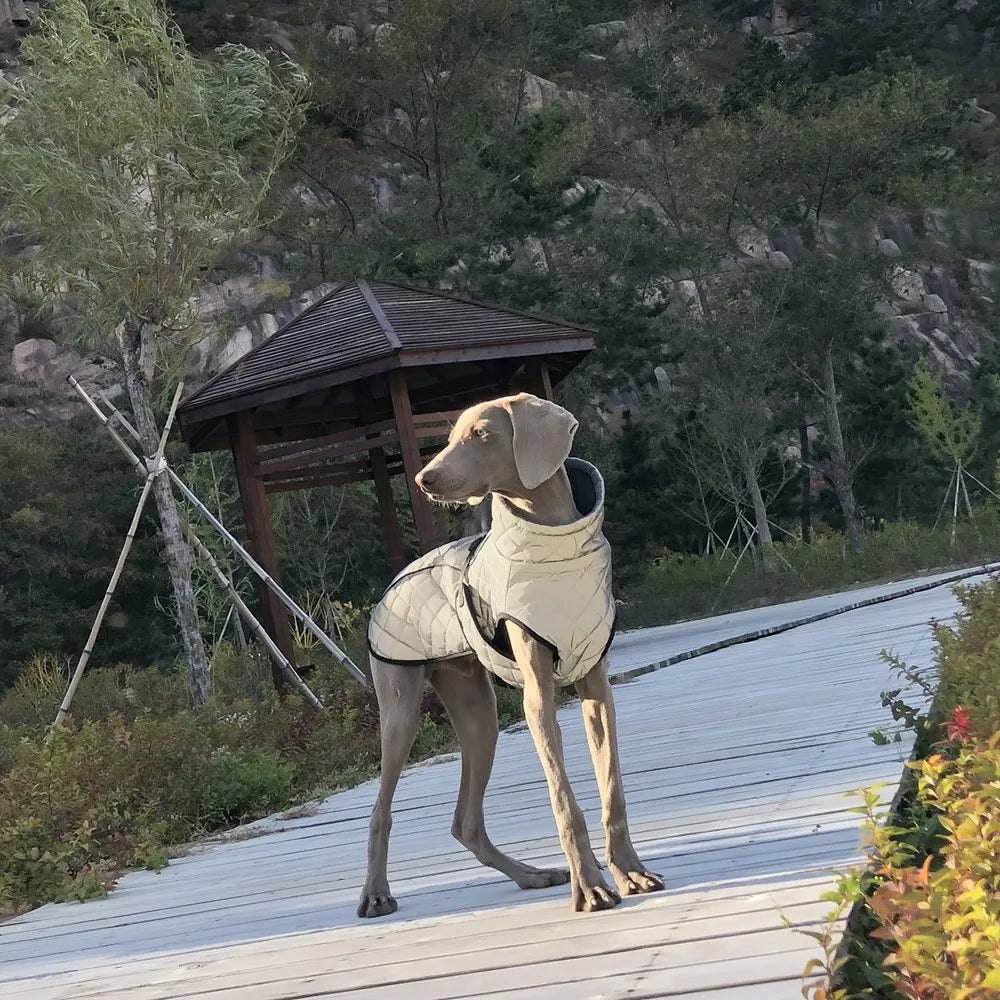 Reflective Winter Dog Jacket Large Medium Dog Coat Vest