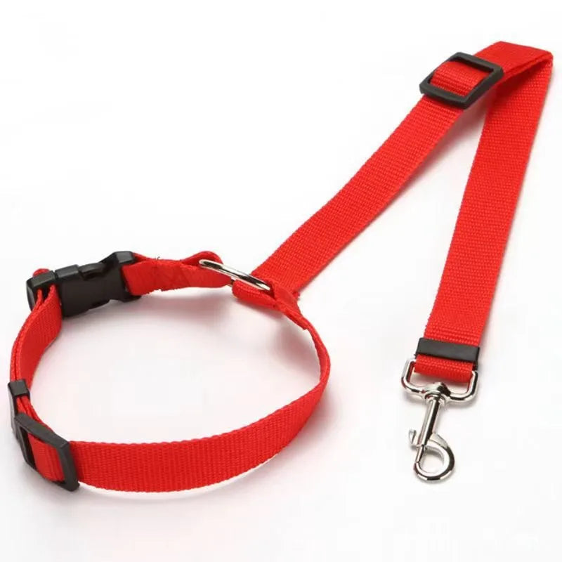2-in-1 Pet Car Seat Belt & Leash