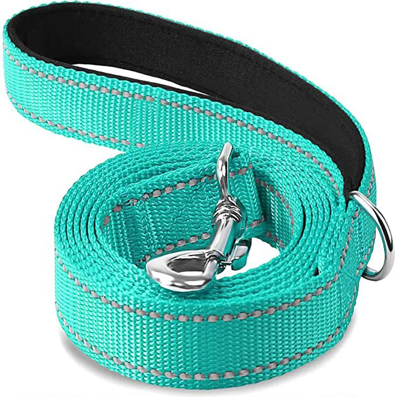 Reflective Pet Harness & Leash Set